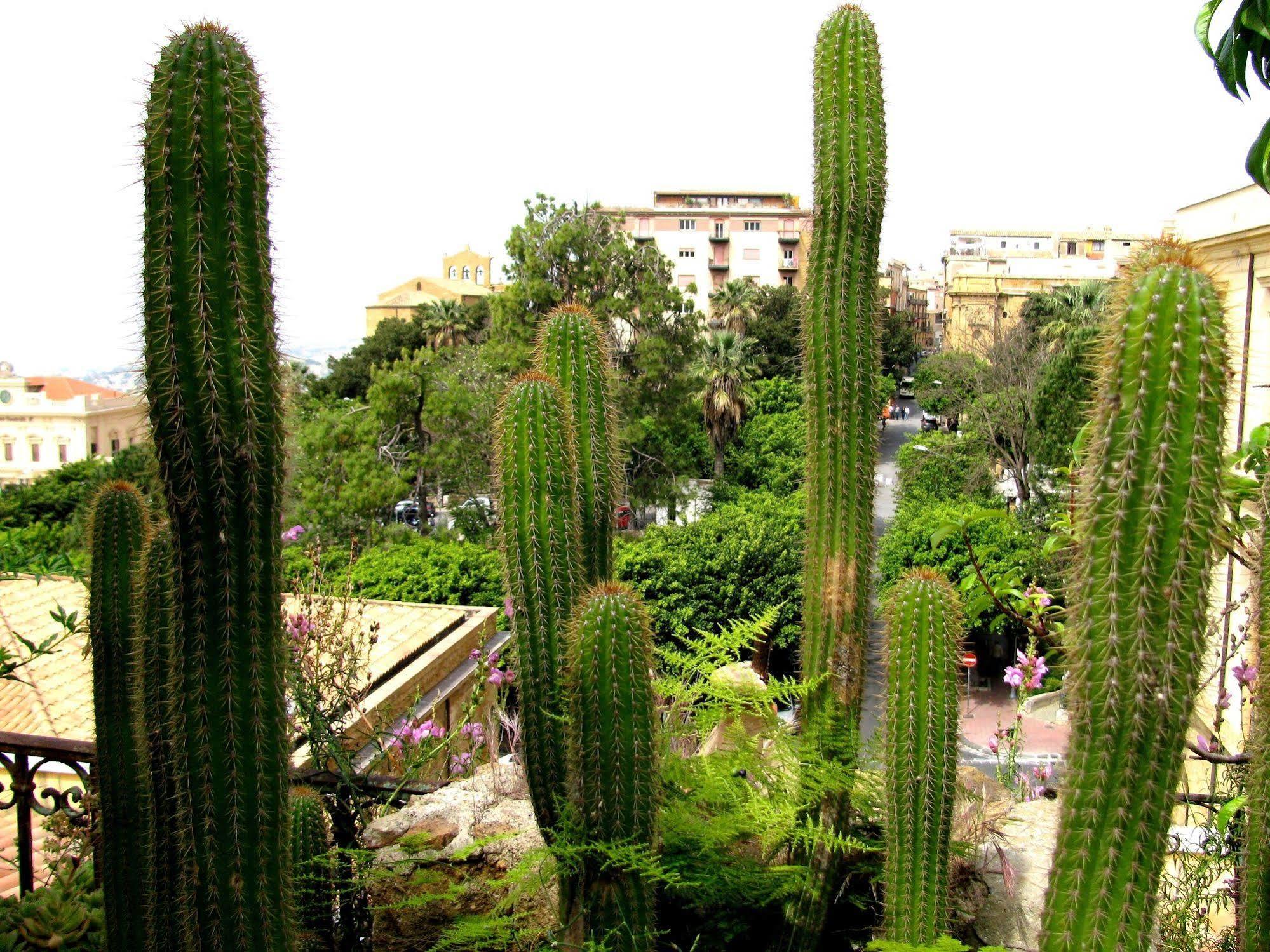 Bed & Breakfast Le Palme อากริเจนโต ภายนอก รูปภาพ